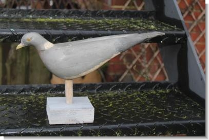 GOOD DECOY PIGEON 2.