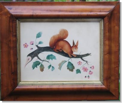 RED SQUIRREL WATER COLOUR c.1830
