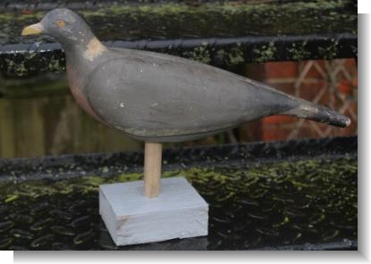 GOOD DECOY PIGEON. 1.